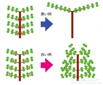 fancybox記事228の画像1